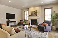 Aries 40 Direct Vent Fireplace