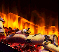 SF-HDL-BIRCh.png