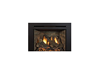 Madison Park 27 Direct Vent Gas Fireplace Insert