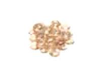 Champagne