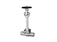 Series 210 - Globe Valve for Cryogenic Service
