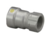 1" x 3/4" CS Adapter P x FPT
