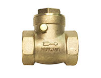 Swing Check Valve