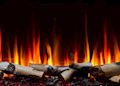 SF-TR-BIRCH.png