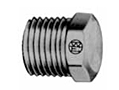 Western Enterprises Brass Pipe Thread Plugs