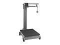 Fairbanks Portable Scales