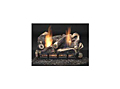 Natural Blaze Burner System and Vent Free Logs