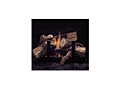 Mojo Vent Free Logs