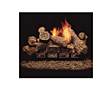 Natural Blaze Vent Free See-Thru Burner and Logs