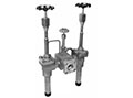 Manifold